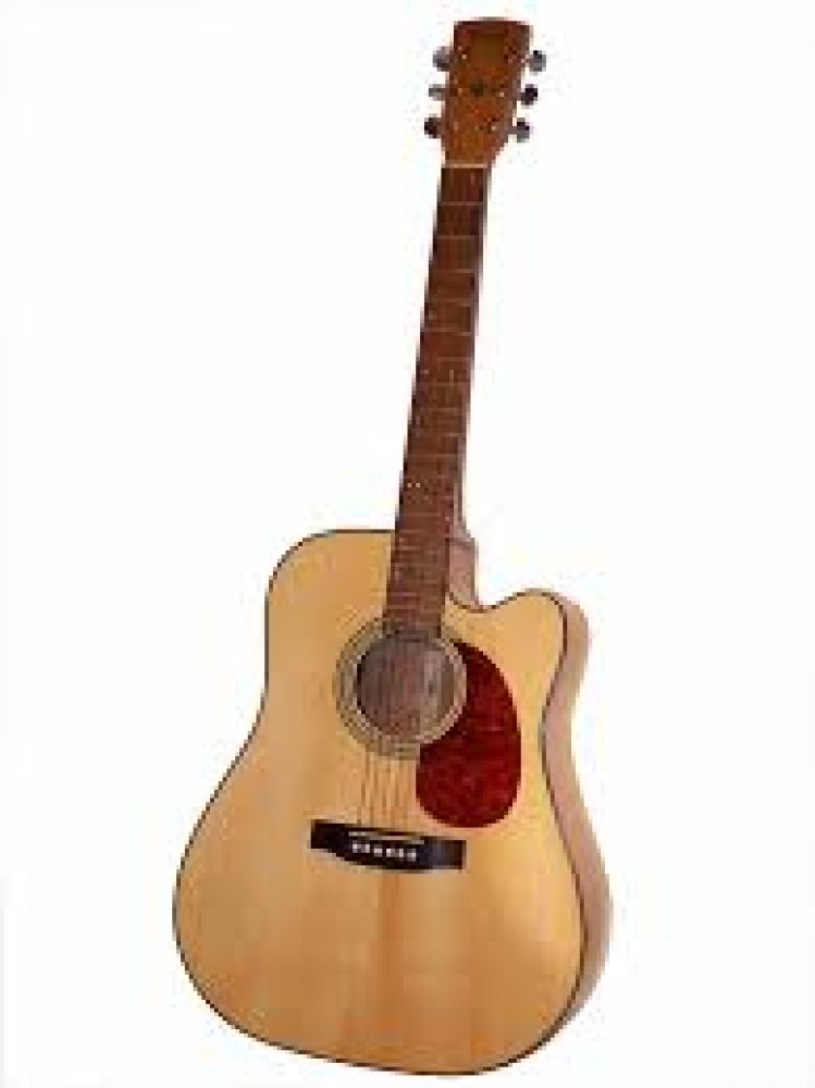 Martin D10e